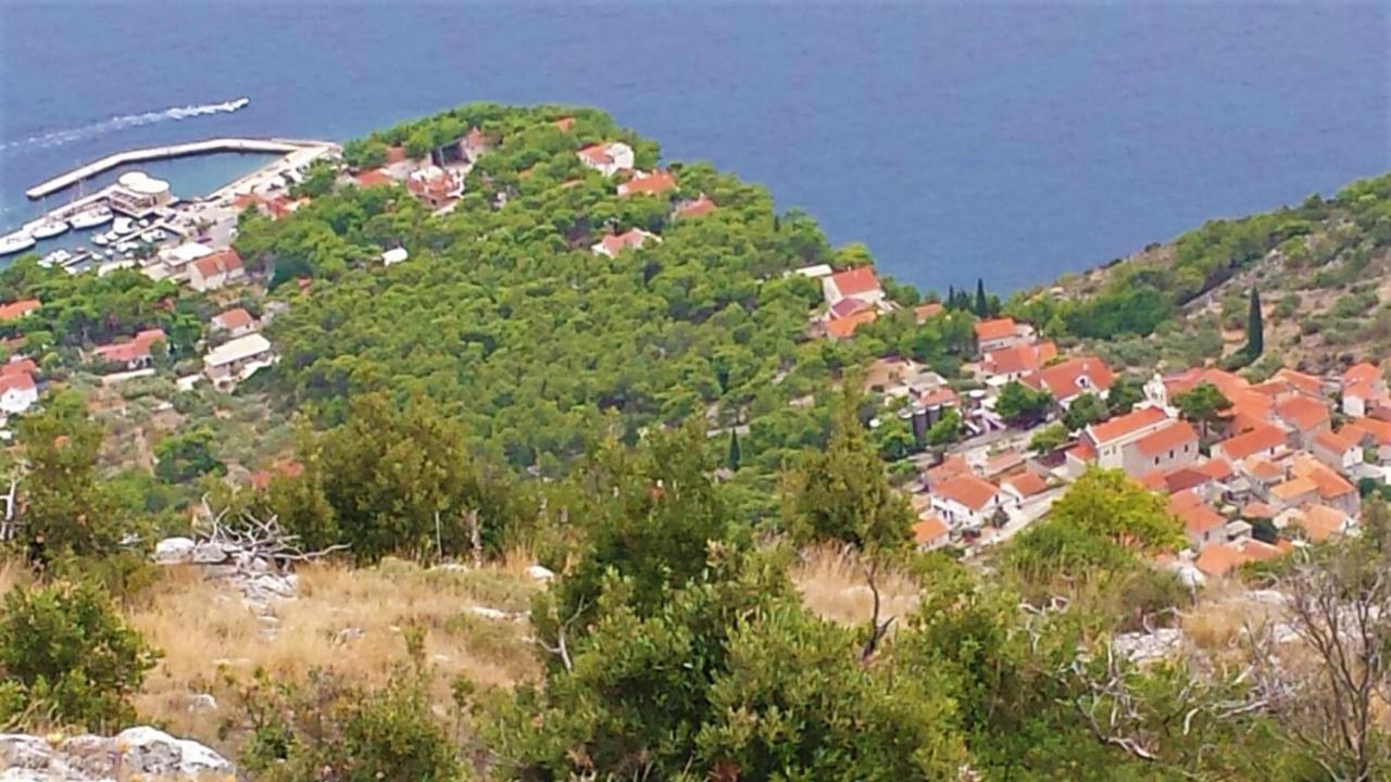 Apartmán Jagoda *